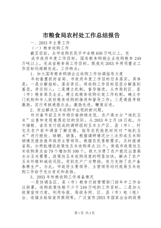 2024年市粮食局农村处工作总结报告