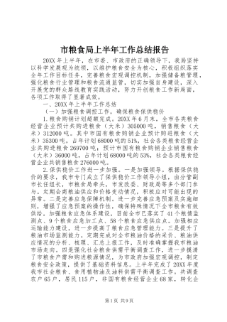 2024年市粮食局上半年工作总结报告