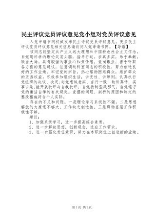 2024年民主评议党员评议意见党小组对党员评议意见