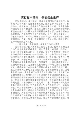 2024年实行标本兼治，保证安全生产