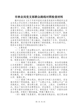 2024年市林业局党支部群众路线对照检查材料