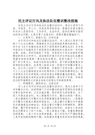 2024年民主评议行风及执法队伍整训整改措施