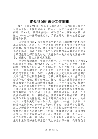 2024年市领导调研督导工作简报