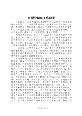 2024年市领导调研工作简报