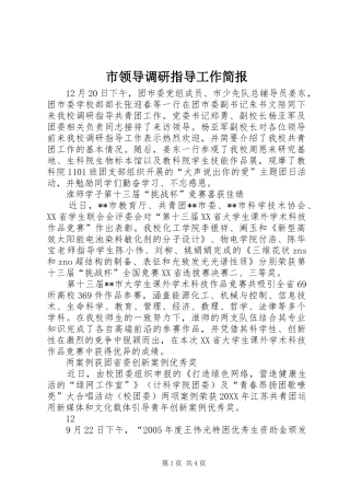 2024年市领导调研指导工作简报