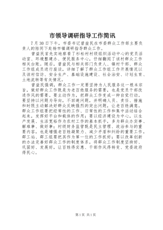 2024年市领导调研指导工作简讯