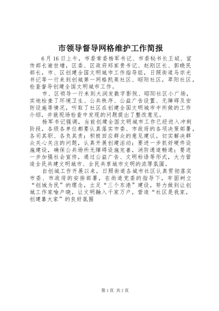 2024年市领导督导网格维护工作简报