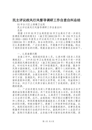 2024年民主评议政风行风督导调研工作自查自纠总结