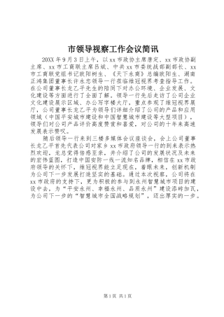 2024年市领导视察工作会议简讯