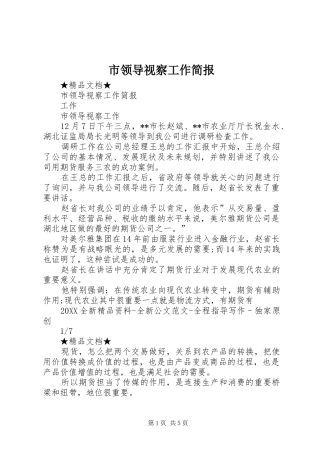 2024年市领导视察工作简报