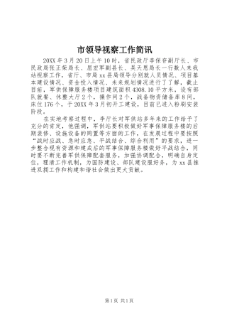 2024年市领导视察工作简讯