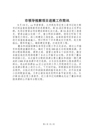 2024年市领导视察项目进展工作简讯