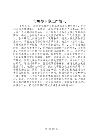 2024年市领导下乡工作简讯