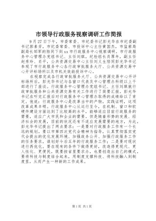 2024年市领导行政服务视察调研工作简报