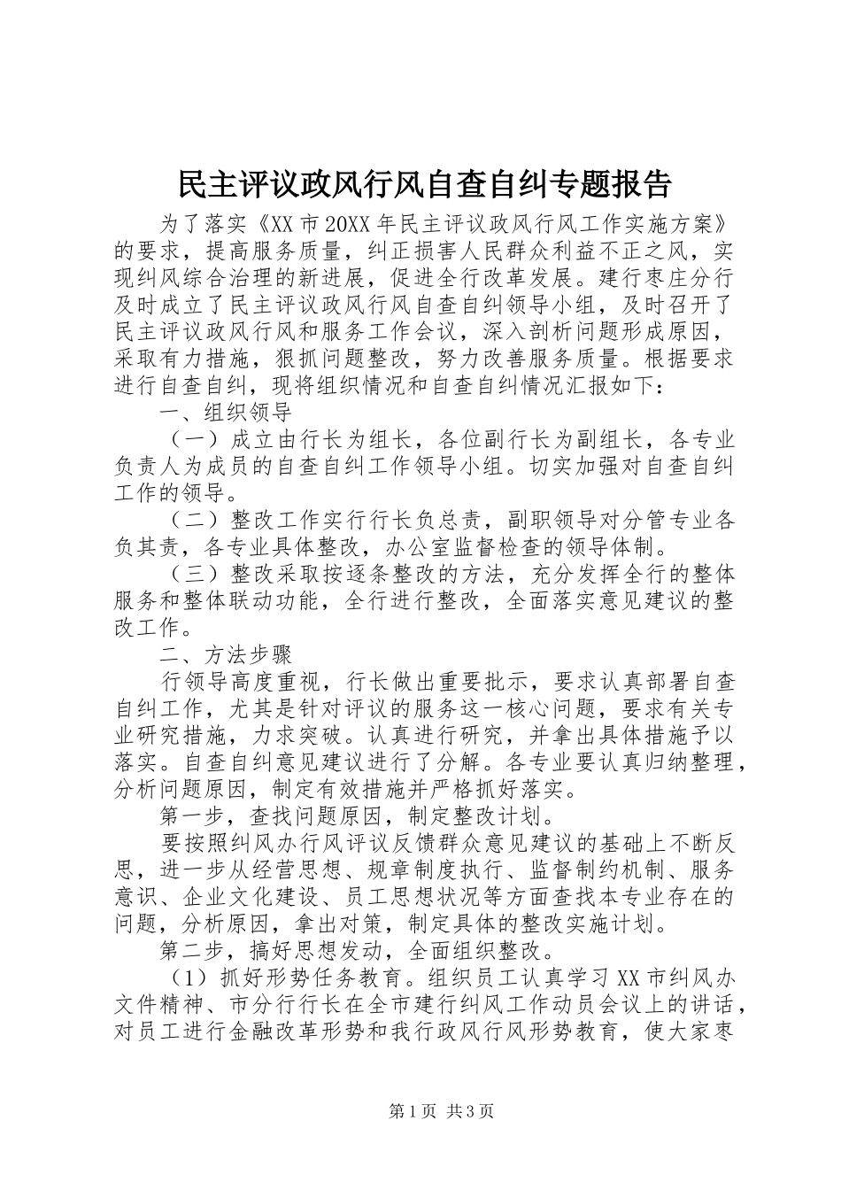 2024年民主评议政风行风自查自纠专题报告_第1页