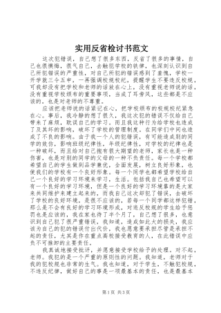 2024年实用反省检讨书范文