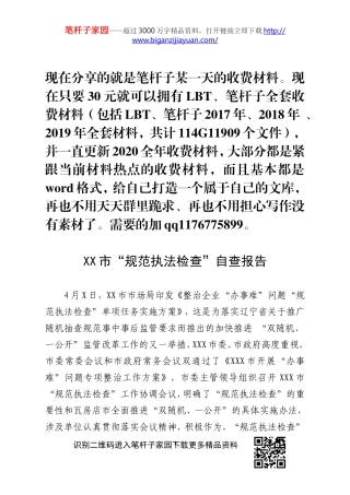 市“规范执法检查”自查报告