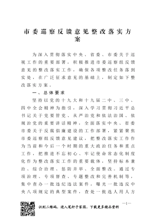 市委巡察反馈意见整改落实方案