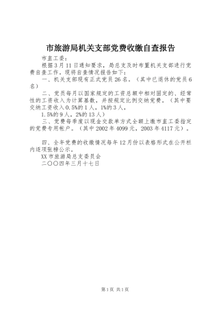 2024年市旅游局机关支部党费收缴自查报告
