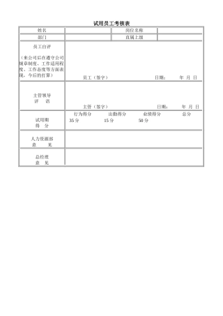 试用员工考核表