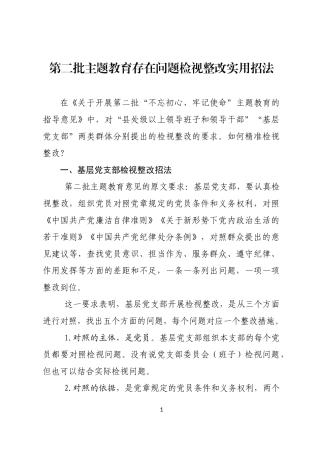 第二批主题教育存在问题检视整改实用招法