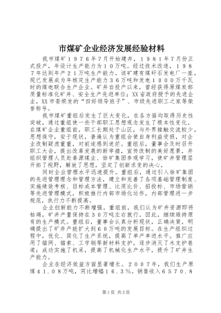 2024年市煤矿企业经济发展经验材料