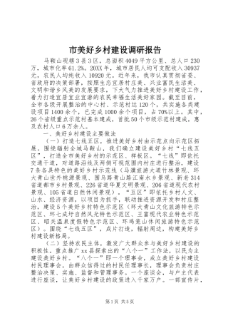 2024年市美好乡村建设调研报告