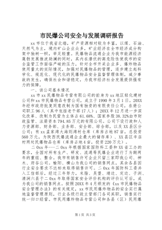 2024年市民爆公司安全与发展调研报告