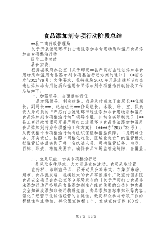 2024年食品添加剂专项行动阶段总结