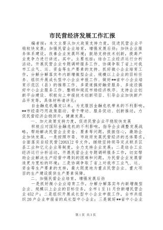 2024年市民营经济发展工作汇报