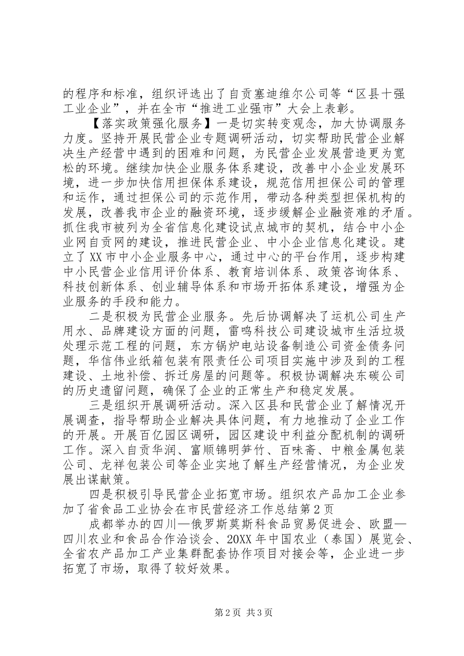 2024年市民营经济工作总结_第2页