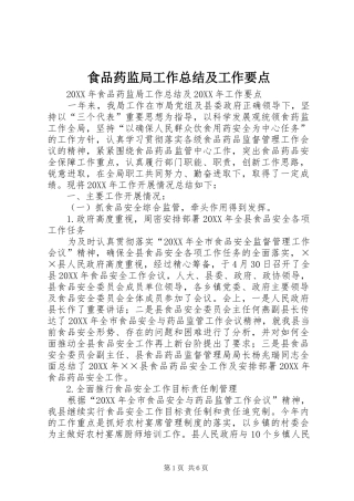 2024年食品药监局工作总结及工作要点