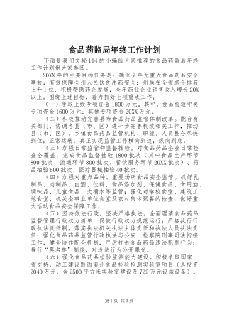 2024年食品药监局年终工作计划