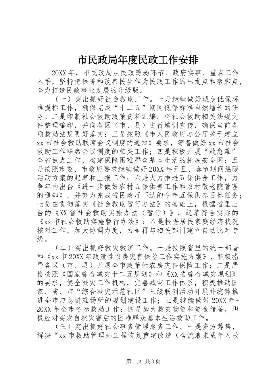2024年市民政局年度民政工作安排_第1页