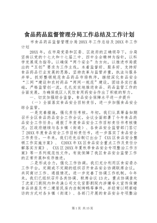 2024年食品药品监督管理分局工作总结及工作计划