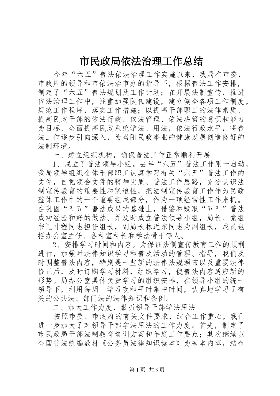 2024年市民政局依法治理工作总结_第1页