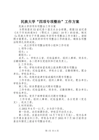 2024年民族大学四项专项整治工作方案