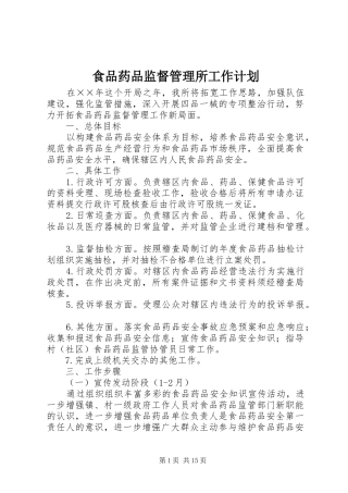 2024年食品药品监督管理所工作计划