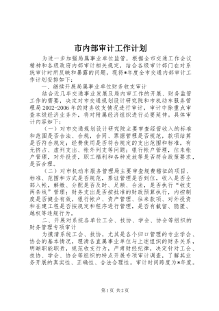 2024年市内部审计工作计划