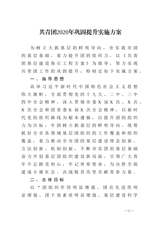 共青团2020年巩固提升实施方案
