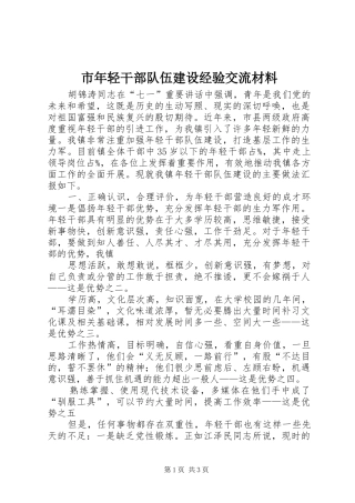 2024年市年轻干部队伍建设经验交流材料