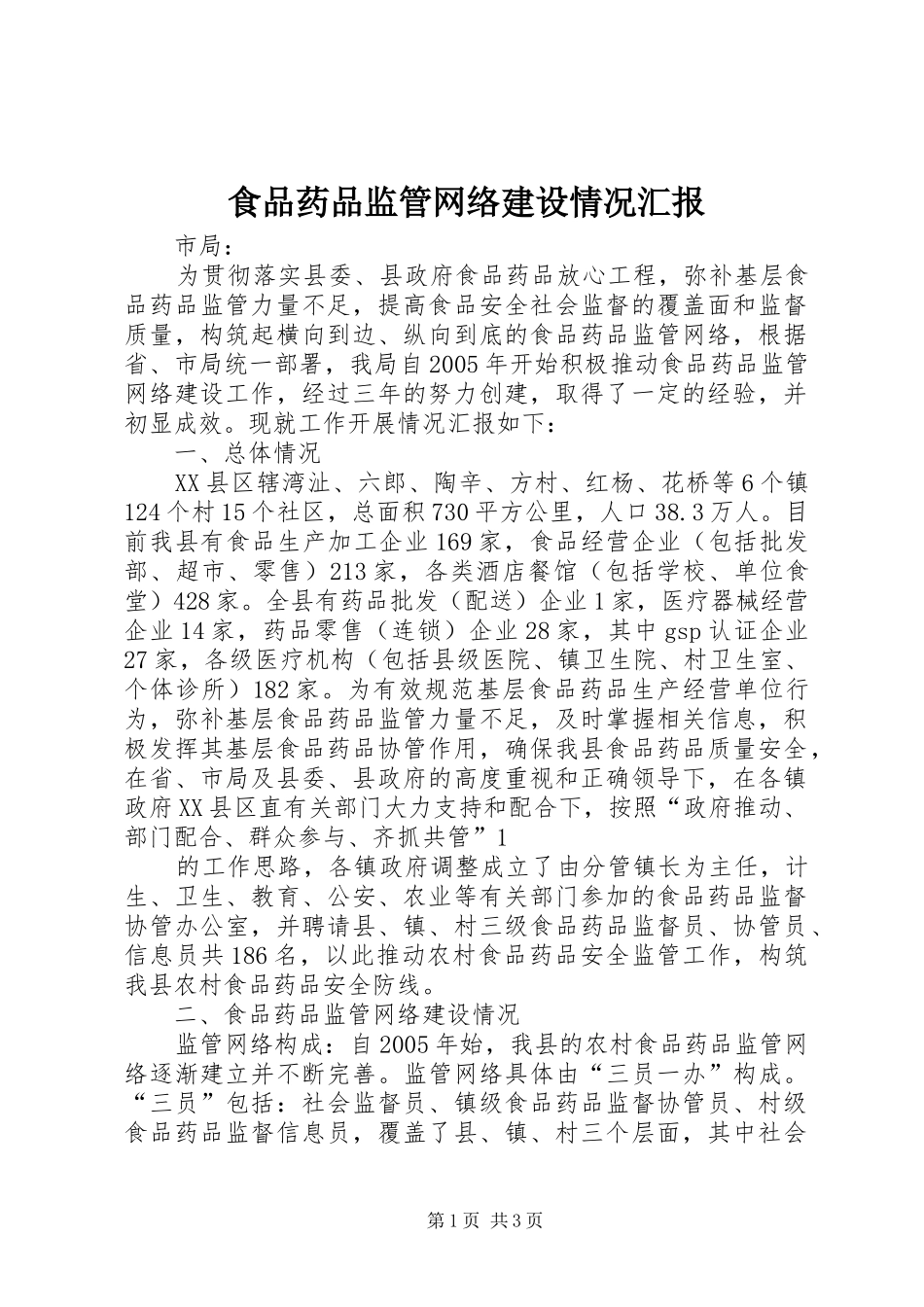 2024年食品药品监管网络建设情况汇报_第1页