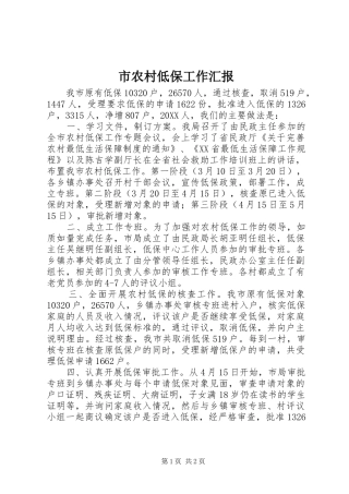 2024年市农村低保工作汇报