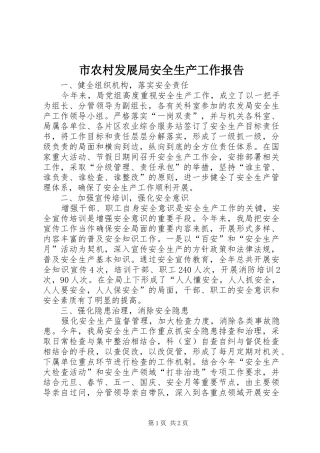 2024年市农村发展局安全生产工作报告