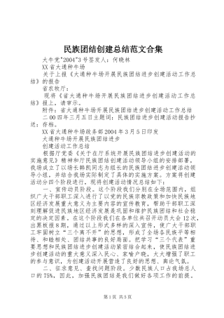 2024年民族团结创建总结范文合集