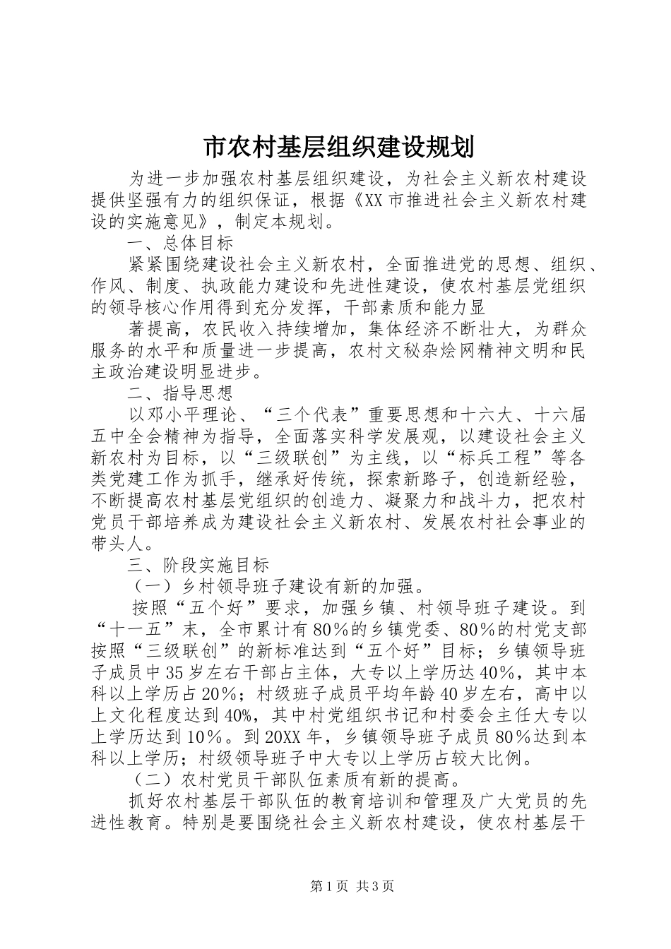 2024年市农村基层组织建设规划_第1页