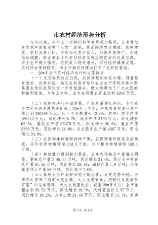 2024年市农村经济形势分析