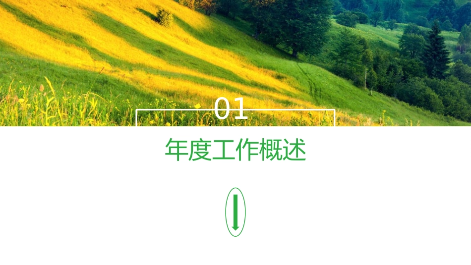 工作总结精选PPT28_第3页