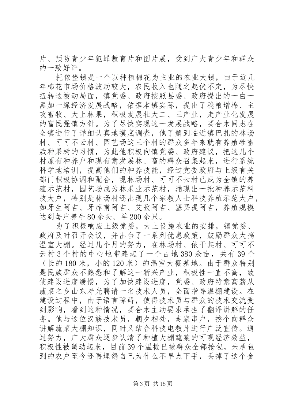 2024年民族团结个人主要事迹材料_第3页