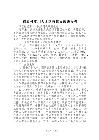2024年市农村实用人才队伍建设调研报告